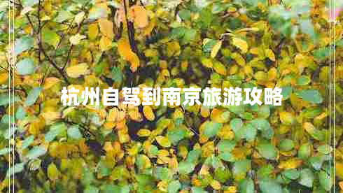 杭州自駕到南京旅游攻略
