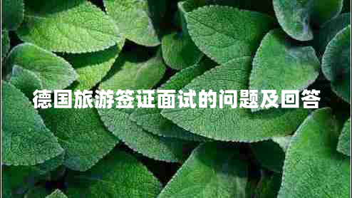 德國(guó)旅游簽證面試的問(wèn)題及回答 德國(guó)旅游簽證面試的問(wèn)題及回答