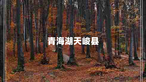 青海湖天峻縣 青海湖天峻縣