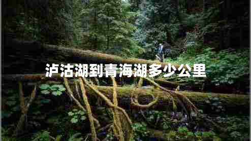 瀘沽湖到青海湖多少公里 瀘沽湖到青海湖多少公里