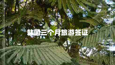 韓國三個月旅游簽證