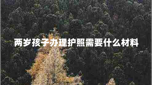 兩歲孩子辦理護(hù)照需要什么材料