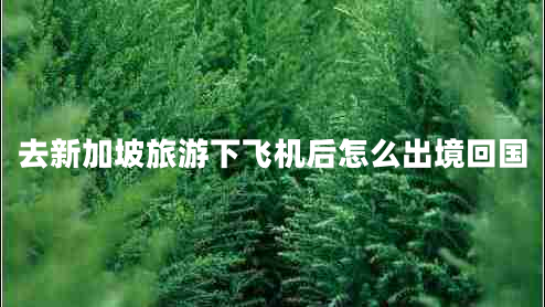 去新加坡旅游下飛機(jī)后怎么出境回國(guó)