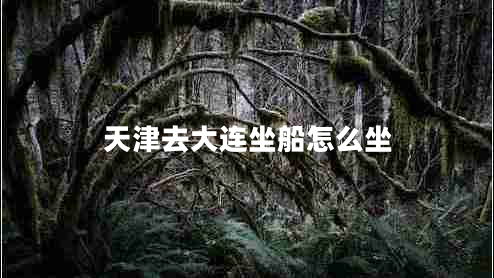 天津去大連坐船怎么坐