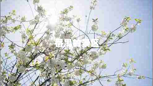 番禺的景區(qū) 番禺的景區(qū)