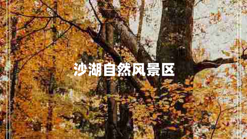 沙湖自然風(fēng)景區(qū) 沙湖自然風(fēng)景區(qū)