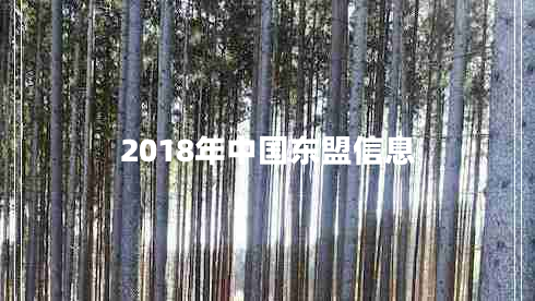 2018年中國(guó)東盟信息 2018年中國(guó)東盟信息