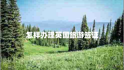 怎樣辦理英國(guó)旅游簽證