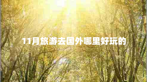 11月旅游去國外哪里好玩的 11月旅游去國外哪里好玩的