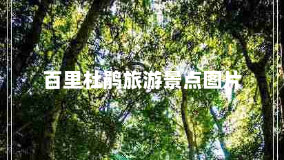 百里杜鵑旅游景點(diǎn)圖片