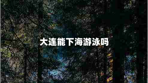 大連能下海游泳嗎