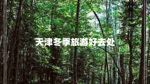 天津冬季旅游好去處