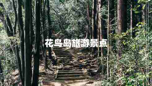 花鳥(niǎo)島旅游景點(diǎn)