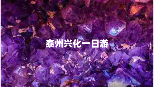 泰州興化一日游