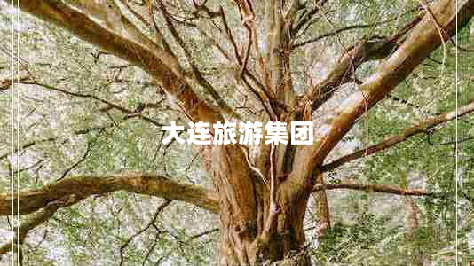 大連旅游集團(tuán)