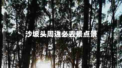 沙坡頭周邊必去景點景