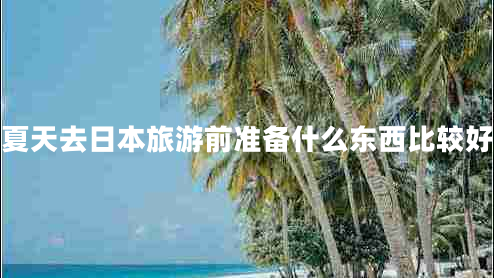 夏天去日本旅游前準(zhǔn)備什么東西比較好