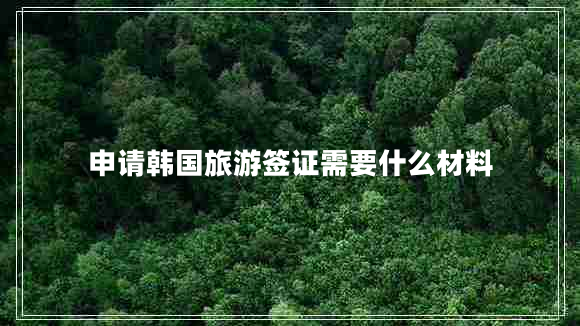 申請(qǐng)韓國(guó)旅游簽證需要什么材料 申請(qǐng)韓國(guó)旅游簽證需要什么材料