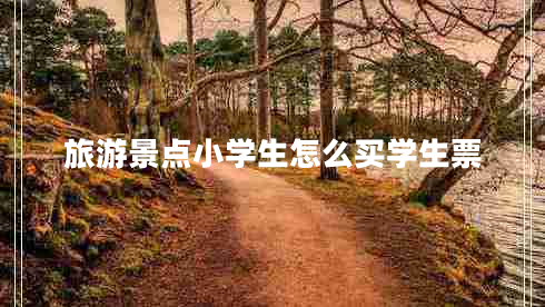 旅游景點小學(xué)生怎么買學(xué)生票