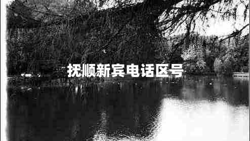 撫順新賓電話區(qū)號