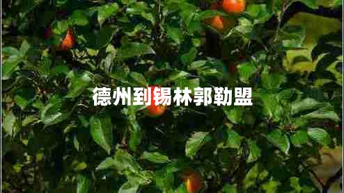 德州到錫林郭勒盟