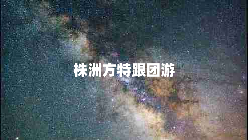 株洲方特跟團(tuán)游