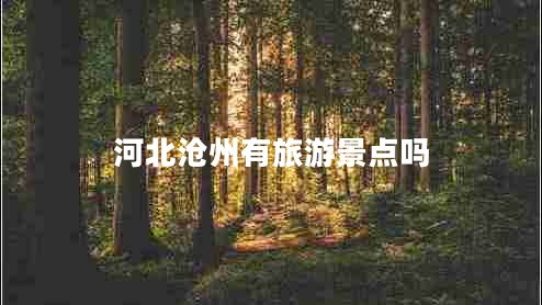 河北滄州有旅游景點(diǎn)嗎