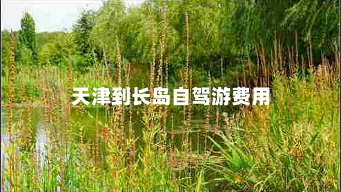天津到長(zhǎng)島自駕游費(fèi)用