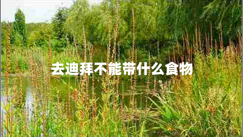 去迪拜不能帶什么食物