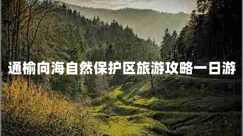 通榆向海自然保護區(qū)旅游攻略一日游