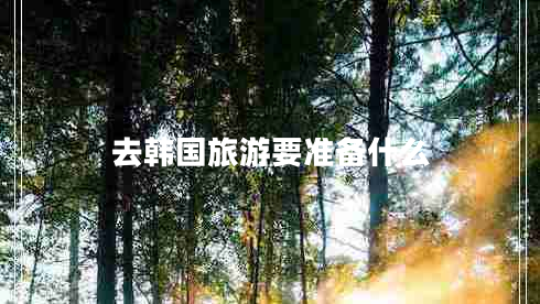 去韓國旅游要準(zhǔn)備什么