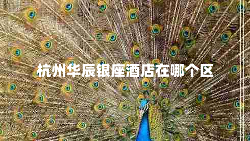 杭州華辰銀座酒店在哪個區(qū)