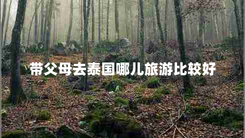 帶父母去泰國哪兒旅游比較好