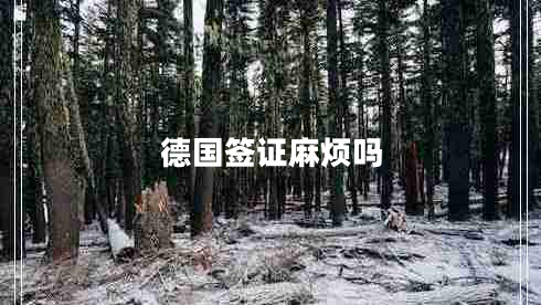 德國簽證麻煩嗎