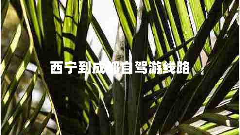 西寧到成都自駕游線路