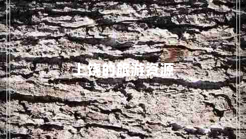 上饒的旅游資源