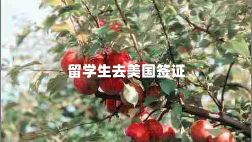 留學(xué)生去美國(guó)簽證