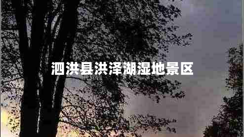 泗洪縣洪澤湖濕地景區(qū)