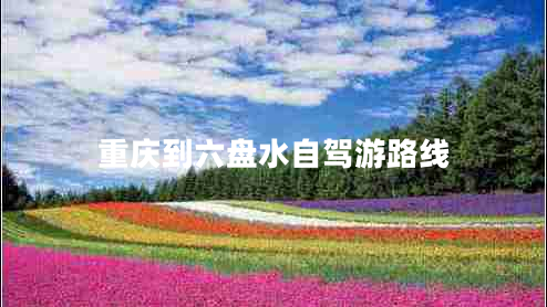 重慶到六盤水自駕游路線 重慶到六盤水自駕游路線