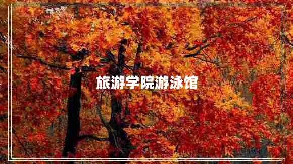 旅游學(xué)院游泳館