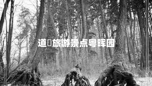 道滘旅游景點粵暉園