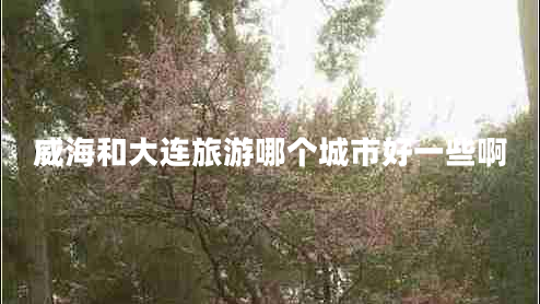 威海和大連旅游哪個城市好一些啊