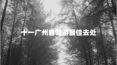 十一廣州自駕游最佳去處