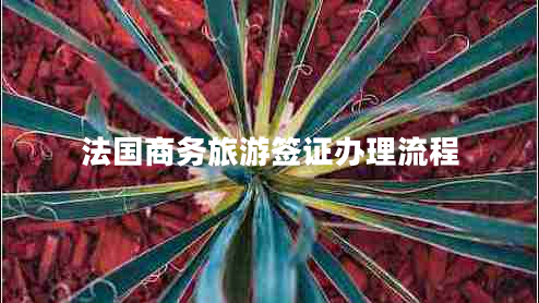 法國(guó)商務(wù)旅游簽證辦理流程