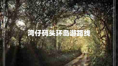 灣仔碼頭環(huán)島游路線