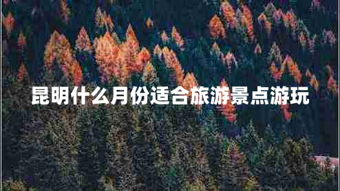 昆明什么月份適合旅游景點游玩