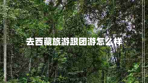 去西藏旅游跟團(tuán)游怎么樣