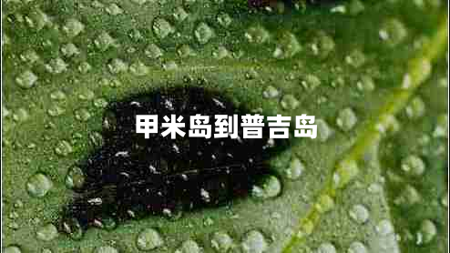 甲米島到普吉島