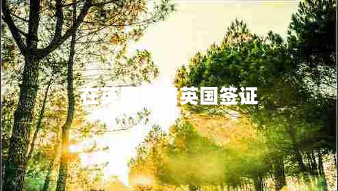 在英國申請英國簽證