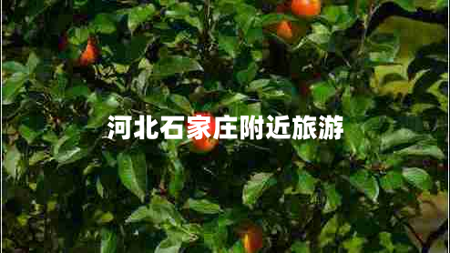 河北石家莊附近旅游